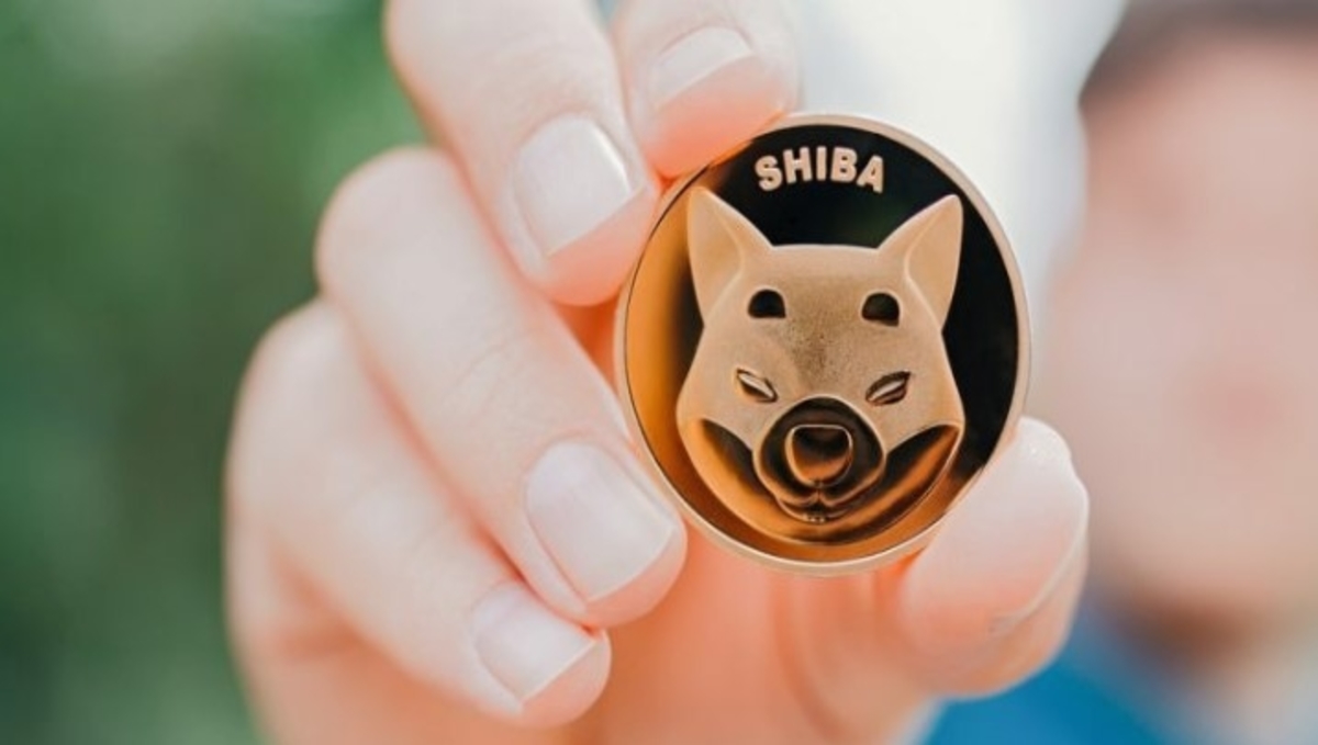 Large Crypto Holders Increase Their SHIB Holdings Despite Pullback