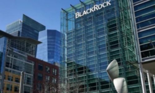 BlackRock Shares Lose 16% While Bonds and Stock Markets Fall